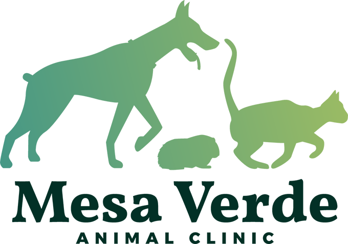 Mesa Verde Animal Clinic